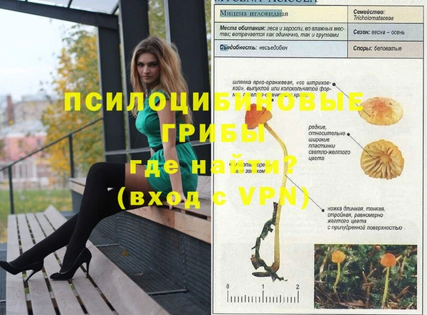 apvp Аркадак