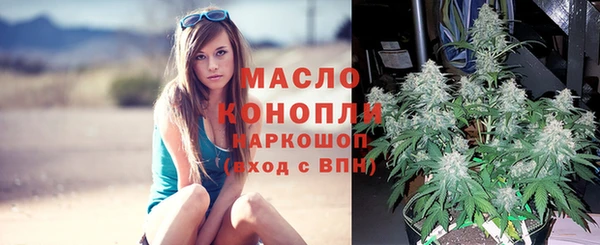 apvp Аркадак